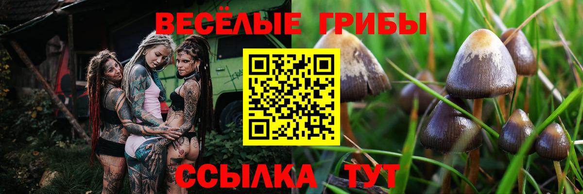 Галлюциногенные грибы ЛСД Отрадное